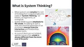 System Thinking and System Dynamics - Roberto Pasqualino (May 2020) L2