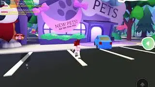 Overlook bay: 13 new pets countdown!