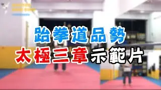 【跆拳道品勢】太極三章示範片。有正、背面畫面唷！Taekwondo Taegeuk 3