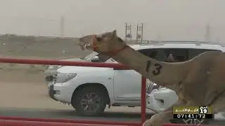 2 الشوط الثاني ثنايا قعدان السبت 24 01 2026