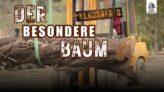 Der besondere Baum - Ein steirisches 
