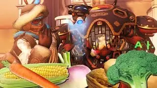 I Can't See Anyone!! | Overwatch | No Swear Challenge