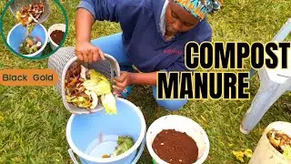 Turn Kitchen Waste into Compost + Liquid Fertilizer | Easy 2-Bucket Method. 