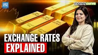 How Exchange Rates Decide Who Wins and Loses in Trade | Dawn News English