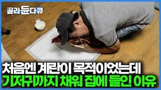 수익성 제로, 먹어 치우면 그만인 늙고 병든 닭을 애지중지 집 안에서까지 재우며 케어하는 이유｜PD로그｜#골라듄다큐