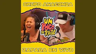 Punteos Grupo Anaconda