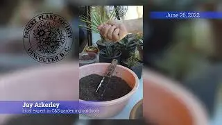 Cold Hardy Cacti and Succulents for Vancouver, BC area