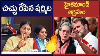 apcc-chief-ys-sharmila-controversial-comments-on-ttd-chandrababu-tdp-congress- sharmila speech -AP