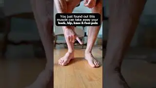 Fix Foot, Knee, Hip & Back Pain With This Simple Exercise (Tibialis Posterior Strengthening)