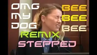 My Dog Stepped On A Bee ( REMIX )
