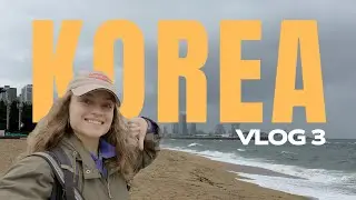 vlog z korei - odcinek 3
