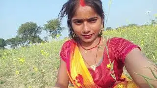 आज हम आए हैं मायके अपने खेत की तरफ आए हैं साग तोड़ने