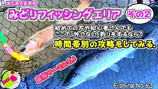 【みどりFA】朝ボトム昼レンジカット夕方トップするだけ【エリアトラウト】