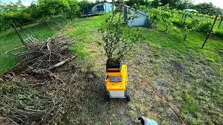 POV Wood Chipping | Wood Branch Crushing | GoPro ASMR Logging Work