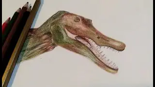 Easy and simple dinosaur sketch and uae natural history museum view