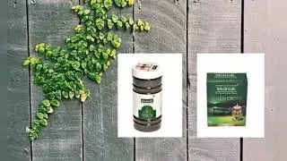 What Makes People Buy Green Tea Online?