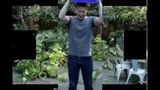 26 Great Celebrity Ice Bucket Challenges 2015