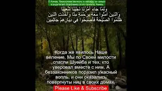 Коран Сура Худ | 11:94 | Чтение Корана с русским переводом |Quran Translation #quranrecitation