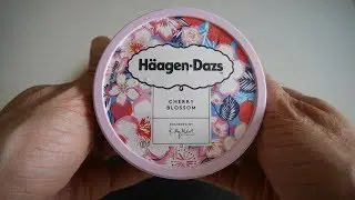 H&auml;agen-Dazs Cherry Blossom | Sakura Ice Cream Taste Test | Designed by Kitty McCall