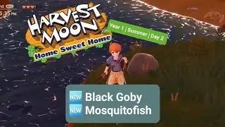 Fishing - Black Goby, Mosquitofish | Harvest Moon: Home Sweet Home | Android Gameplay | Mobile