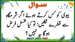 Top Islamic Questions Answers | Islamic Quiz | Islamic Paheliyan | Islami Sawal Jawab | Urdu Quiz
