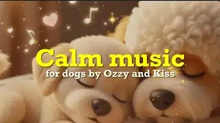 Paws, and Relax Melodies BY OZZY AND KISS