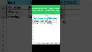 How to Compare Text Strings in Excel Using the EXACT Function and = Sign #shorts