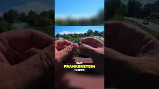 Mastering Summertime Fishing  Tips, Techniques, and Frankenstein Lures Revealed