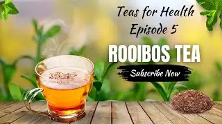 Rooibos Tea Health Benefits