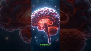 How Sleep Deprivation Makes Your Brain Eat Itself