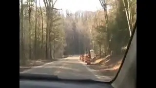 Strange Creature Found on Clinton Road West Milford NJ