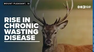 Missouri, Iowa see rise in Chronic Wasting Disease cases in 2023