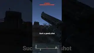 got that big iron!. #gaming #fallout