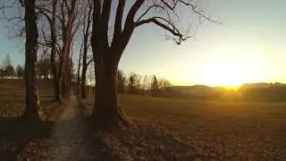 Landscapeshots-1