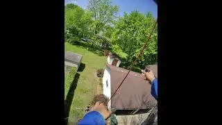 LARGE ASH TREE TAKEDOWN #dead #tree #removal #climb #cut #small #short #YouTube #diy #family #train