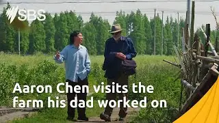 Aaron Chen retraces his father&rsquo;s footsteps | Shaun Micallef's Origin Odyssey