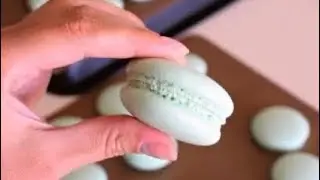 The Best Macaron Shells Recipe