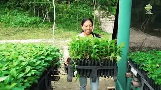 Planting records in 2022, so we can relax on our porch in 2023?  Unfortunately not.