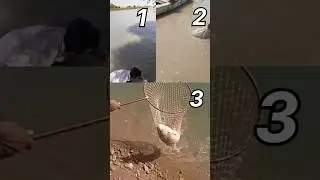 ground baits fishing in Pakistan||Pakistan river fishing