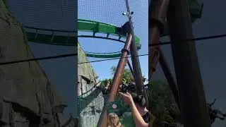 Mandrill Mayhem - Re-Launch