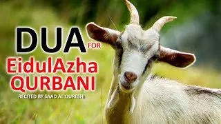Dua For Bakra Eid, Eid al-Adha Sacrifice Qurbani Hajj 2018