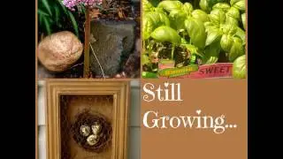 SG571: The Top 40 Most Wanted Plants List