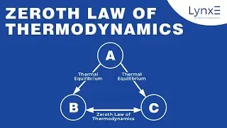 Zeroth Law of Thermodynamics: Explained in Easy Terms | LynxE Learning