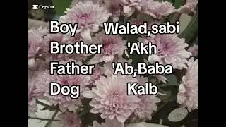 Mga pangunahing simplest sa salitang Arabic na  panglalaki