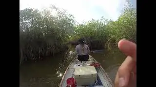 Canoeing at nine mile pond in the Everglades