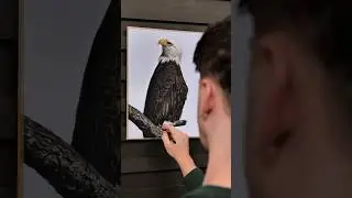 Bald Eagle Drawing Process 🦅