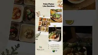 Palm Leaf Plates Like Bamboo: Dining That Cares for the Planet!