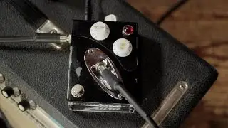 Aura STG Muff - Review/Teste - Victor Pradella
