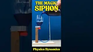 The Magic Siphon Trick! 🤯 | Cool Science Experiment #Shorts