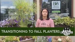 Transitioning Your Summer Planters to Fall